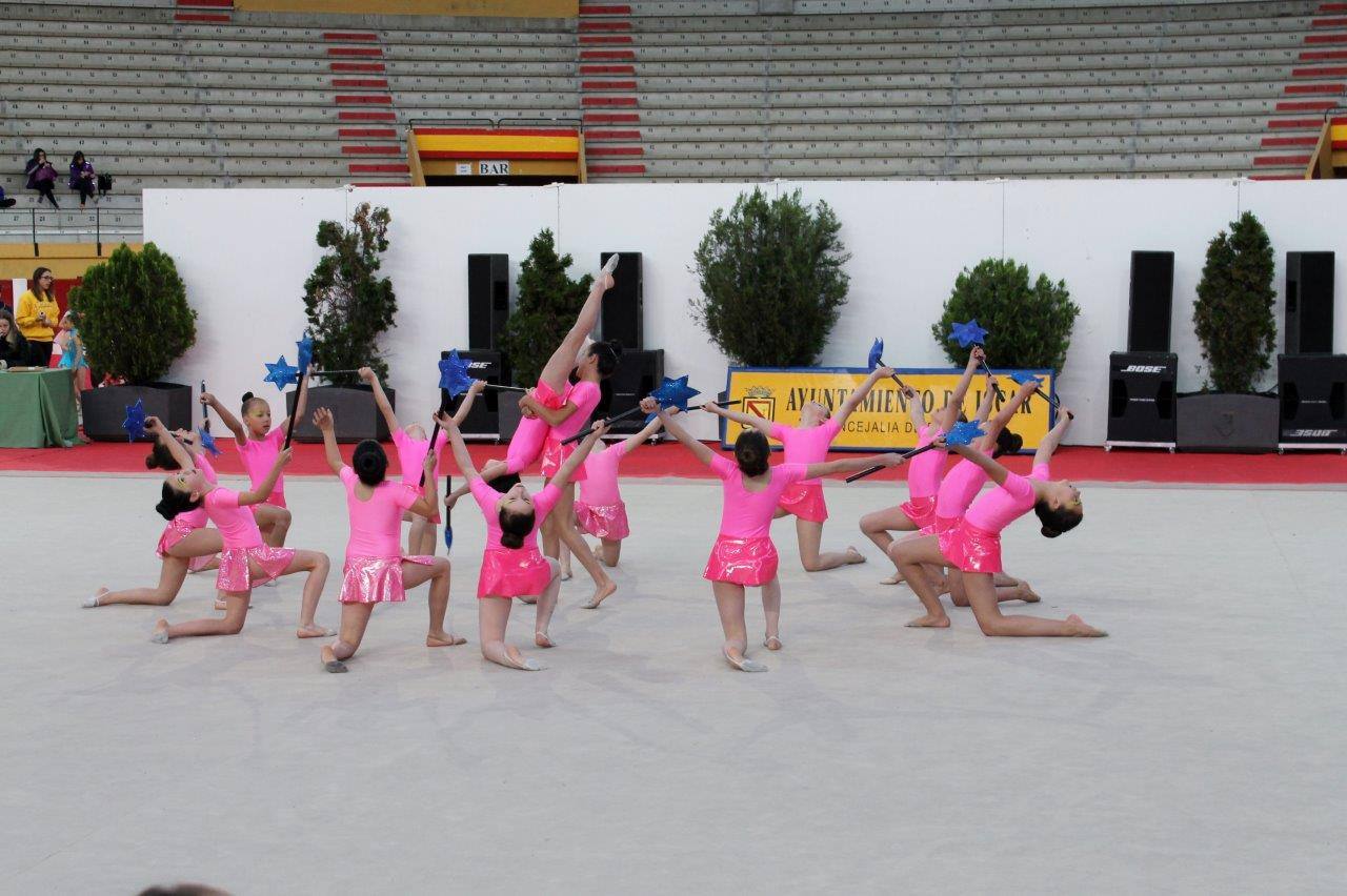 Campeonato Escolar de Gimnasia Rítmica de Castilla y León 2014 celebrado en Íscar (2/3)
