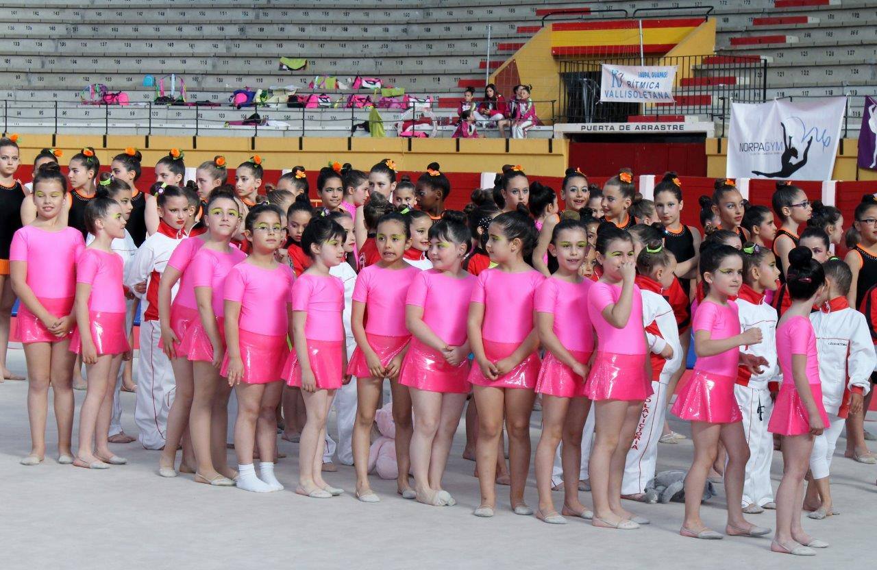 Campeonato Escolar de Gimnasia Rítmica de Castilla y León 2014 celebrado en Íscar (2/3)