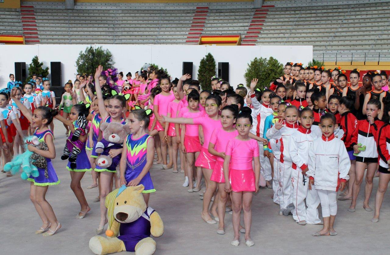 Campeonato Escolar de Gimnasia Rítmica de Castilla y León 2014 celebrado en Íscar (2/3)