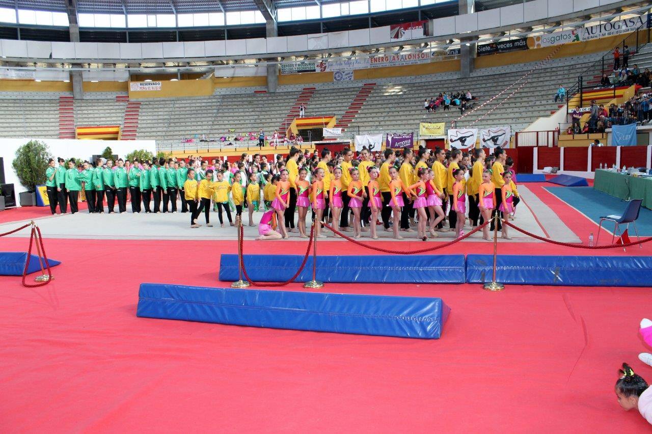 Campeonato Escolar de Gimnasia Rítmica de Castilla y León 2014 celebrado en Íscar (2/3)