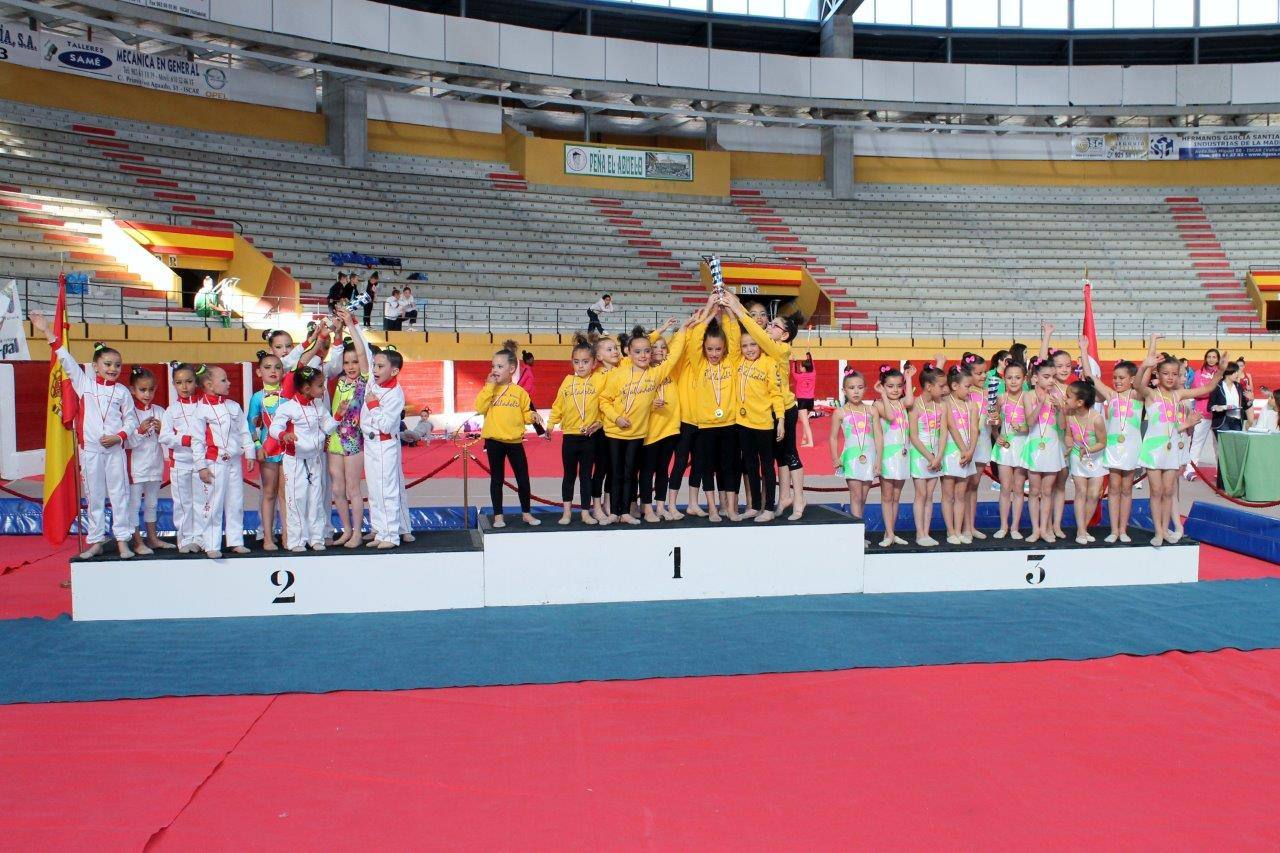 Campeonato Escolar de Gimnasia Rítmica de Castilla y León 2014 celebrado en Íscar (2/3)