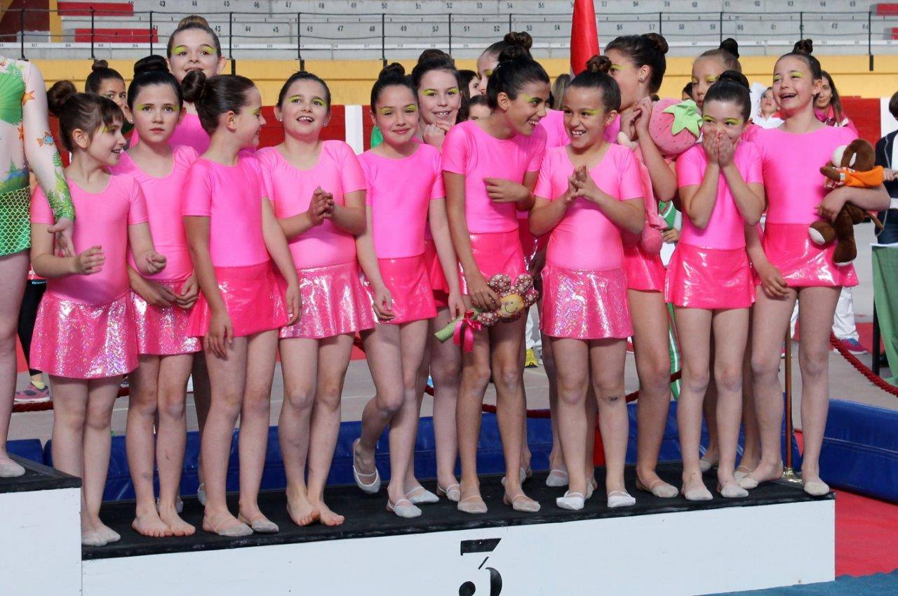 Campeonato Escolar de Gimnasia Rítmica de Castilla y León 2014 celebrado en Íscar (2/3)