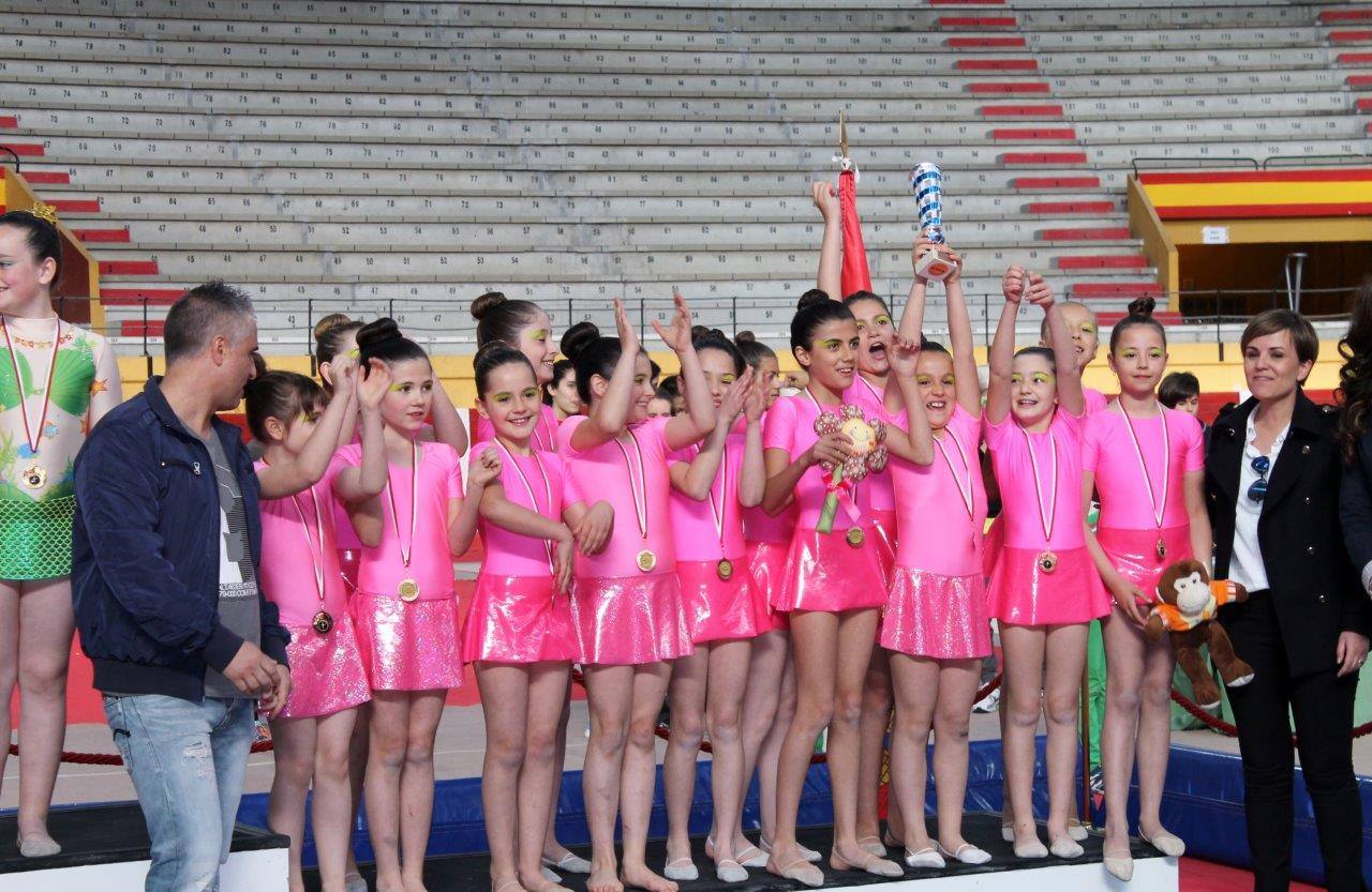 Campeonato Escolar de Gimnasia Rítmica de Castilla y León 2014 celebrado en Íscar (2/3)