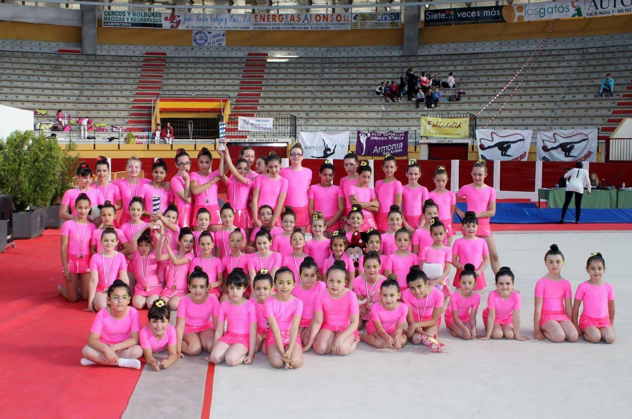 Campeonato Escolar de Gimnasia Rítmica de Castilla y León 2014 celebrado en Íscar (2/3)