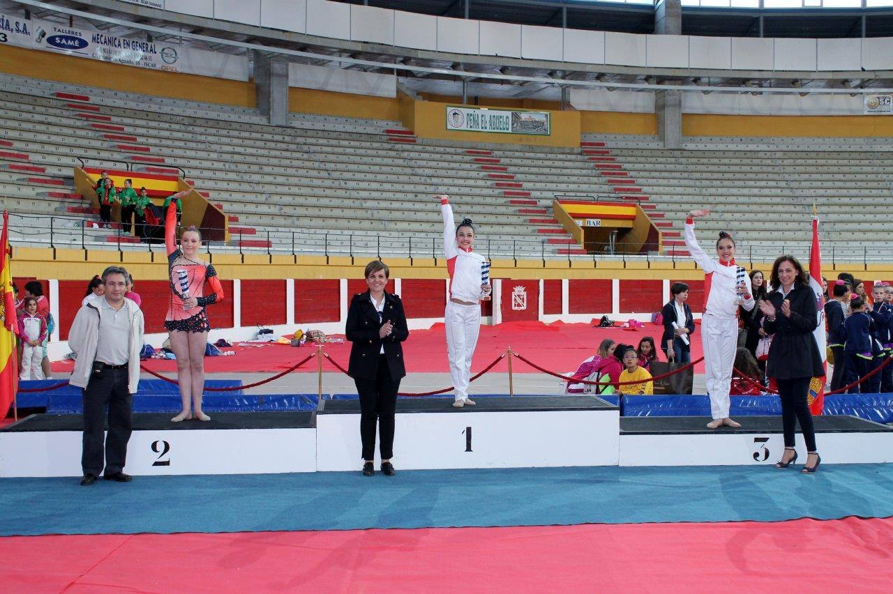 Campeonato Escolar de Gimnasia Rítmica de Castilla y León 2014 celebrado en Íscar (2/3)