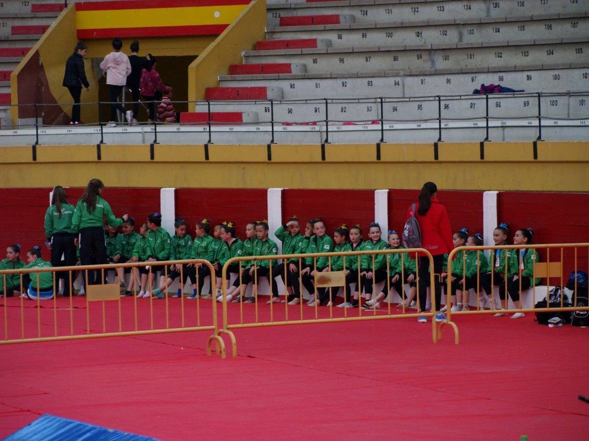 Campeonato Escolar de Gimnasia Rítmica de Castilla y León 2014 celebrado en Íscar (3/3)