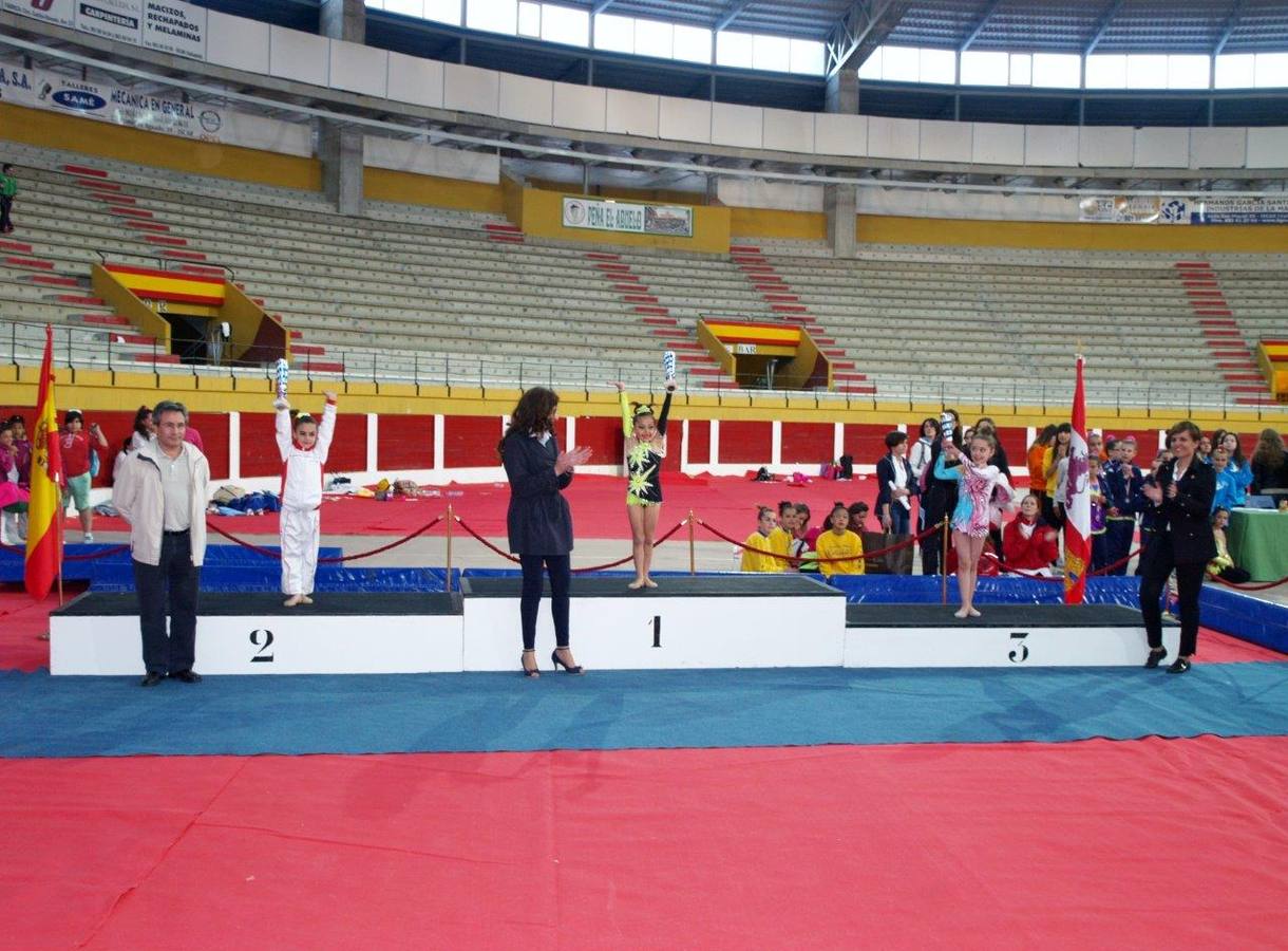 Campeonato Escolar de Gimnasia Rítmica de Castilla y León 2014 celebrado en Íscar (3/3)