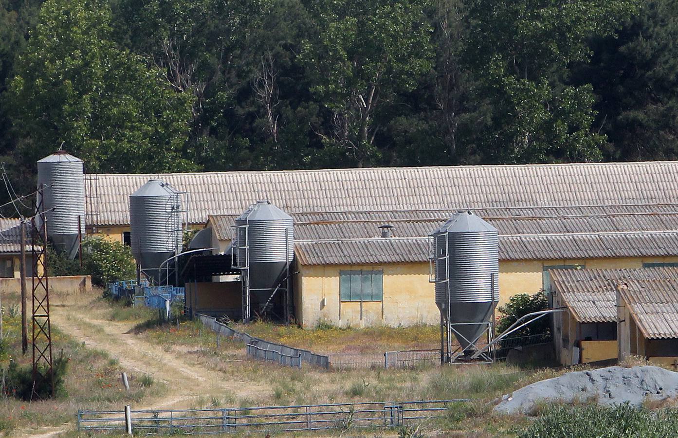 Instalaciones de la fábrica de piensos Proinserga. Segovia