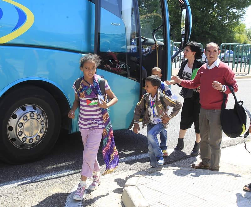Varios niños saharauis llegan a Palencia para pasar el verano