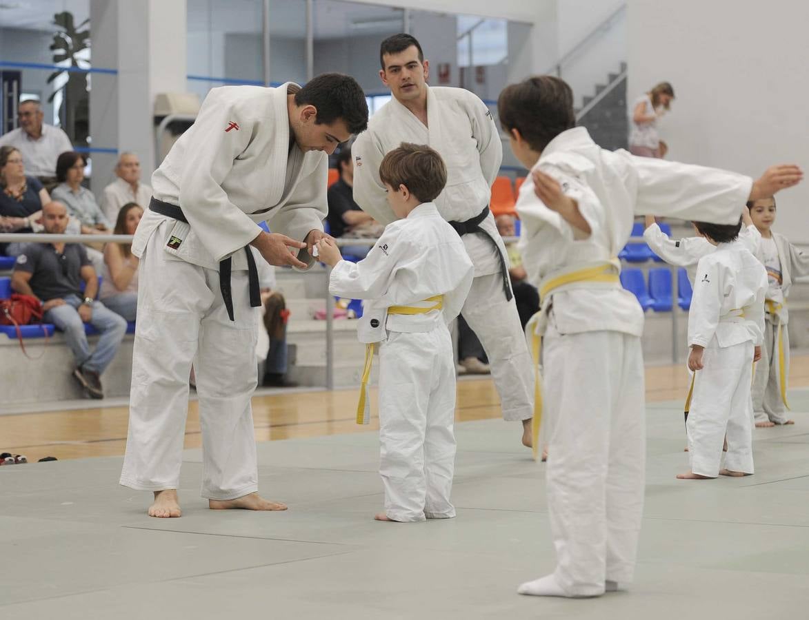 Judo en el Polideportivo Pilar Fernandez Valderrama