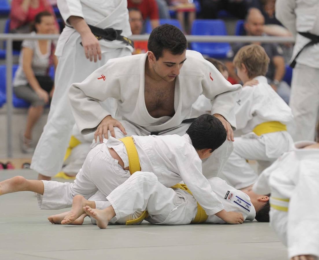 Judo en el Polideportivo Pilar Fernandez Valderrama