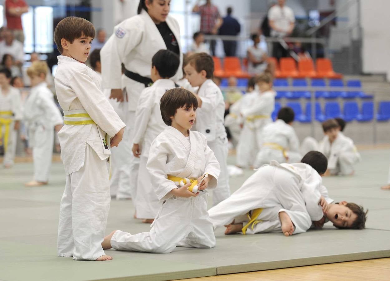 Judo en el Polideportivo Pilar Fernandez Valderrama