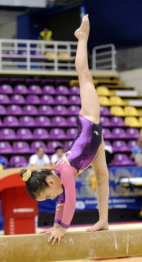 Segunda jornada del Campeonato de España de Gimnasia Artística en el pabellón Pisuerga de Valladolid