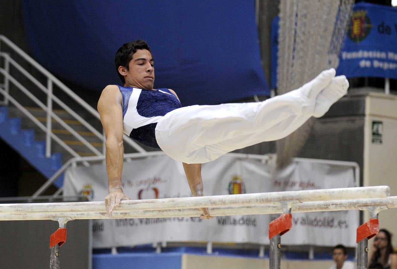 Campeonato de España de Gimnasia Artística