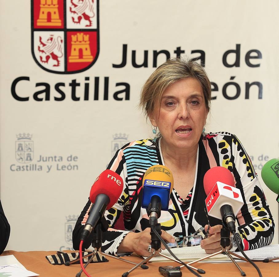 María José Salgueiro explica en Palencia el mapa de áreas funcionales estables de Castilla y León