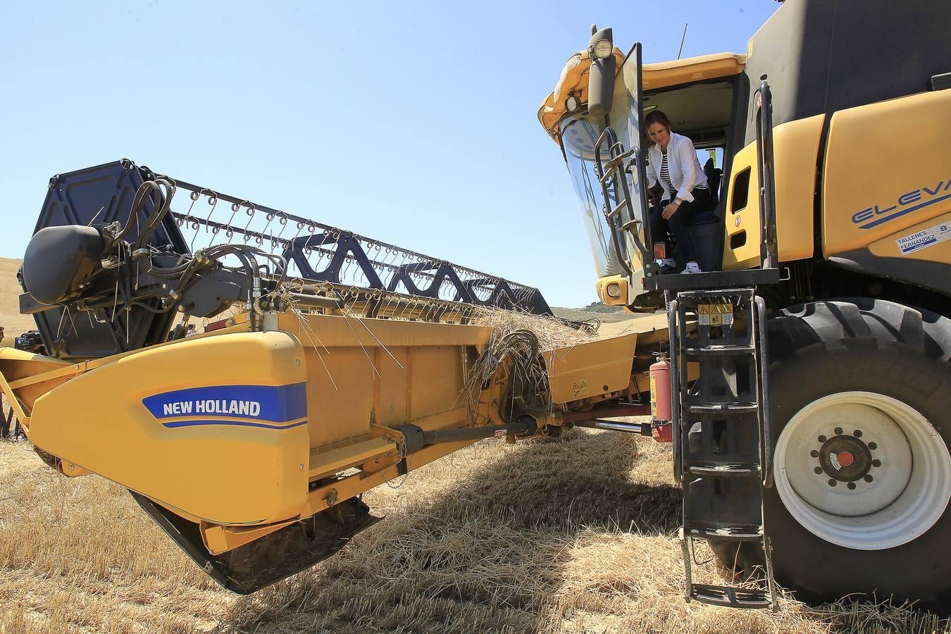 Silvia Clemente presenta los datos de estimación de la cosecha de cereales en Villamuriel de Cerrato (Palencia)