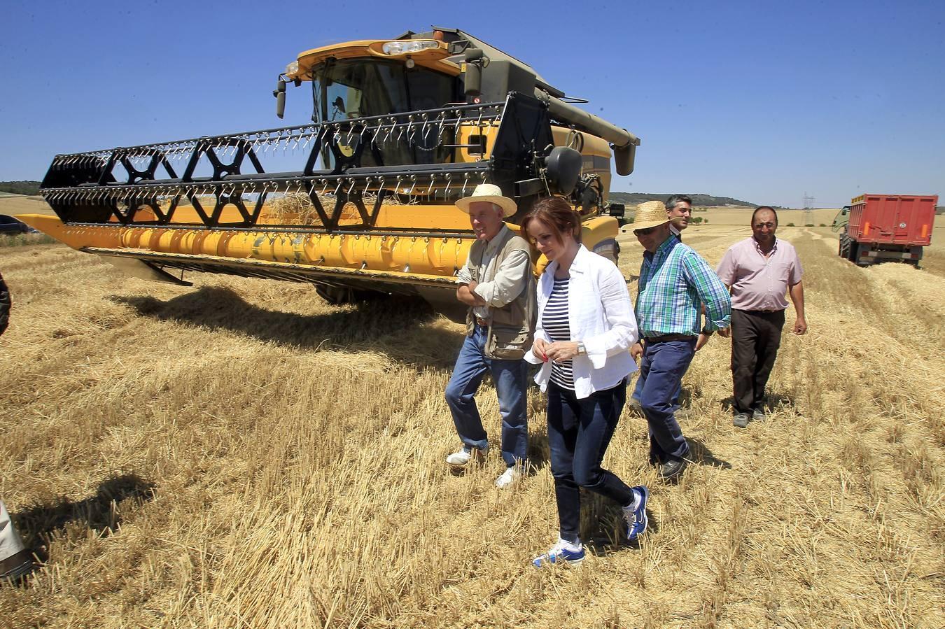 Silvia Clemente presenta los datos de estimación de la cosecha de cereales en Villamuriel de Cerrato (Palencia)