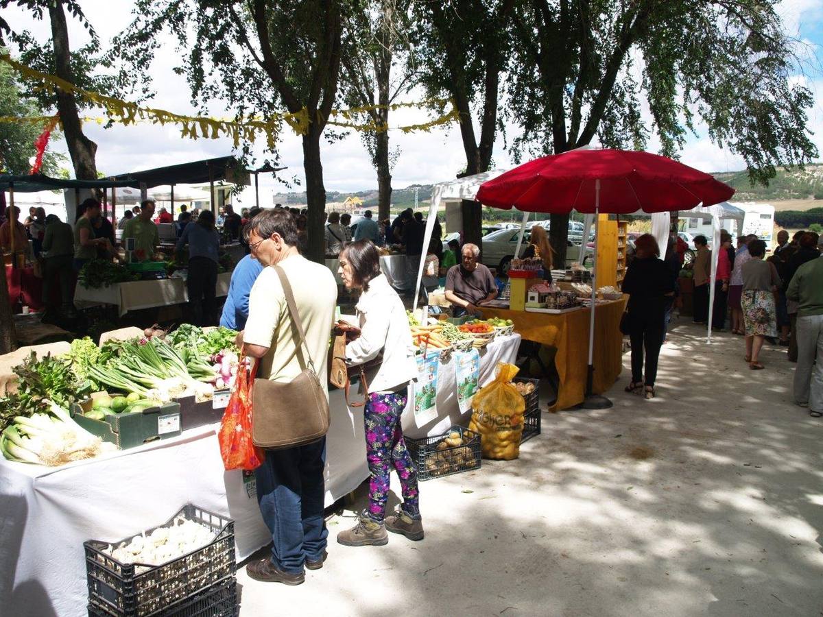 VI Jornadas Campesinas de Megeces