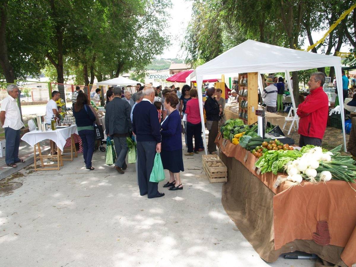 VI Jornadas Campesinas de Megeces