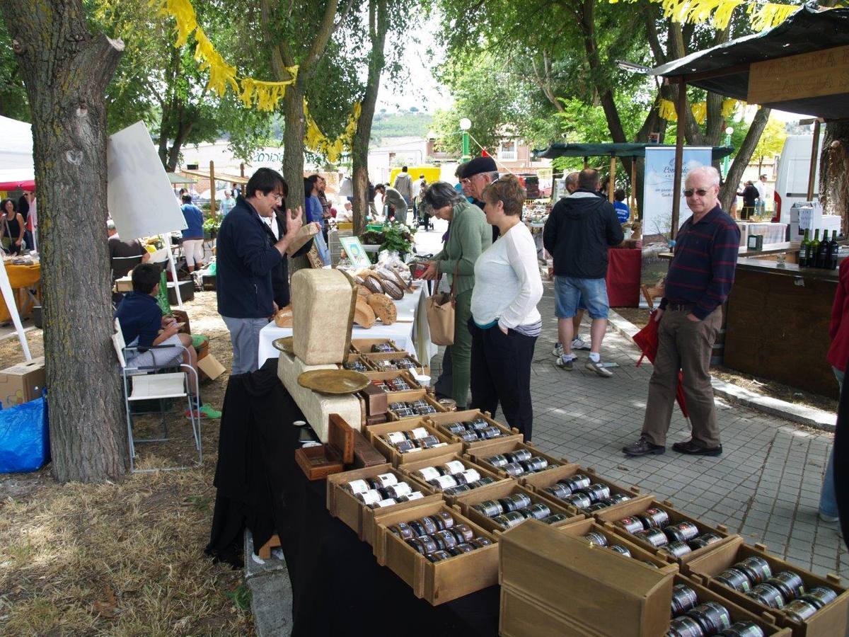 VI Jornadas Campesinas de Megeces