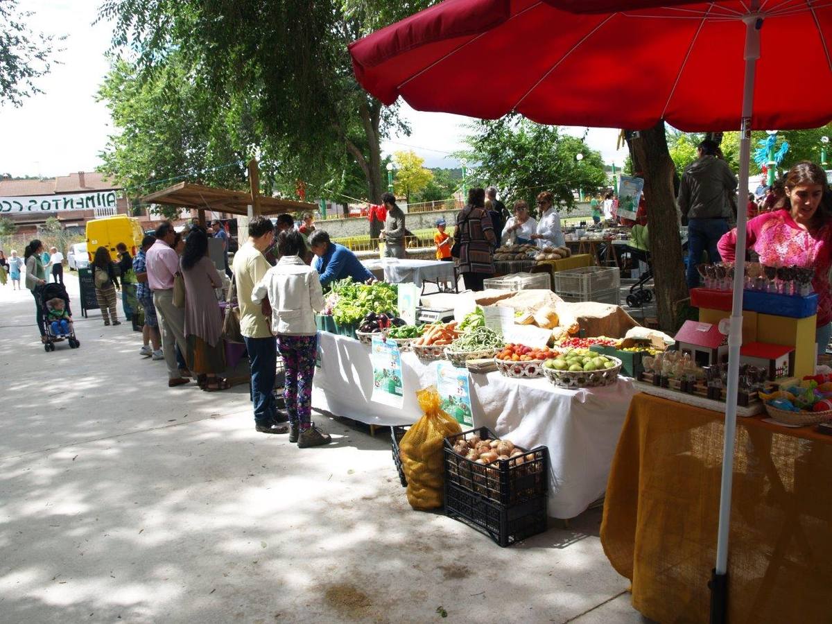 VI Jornadas Campesinas de Megeces