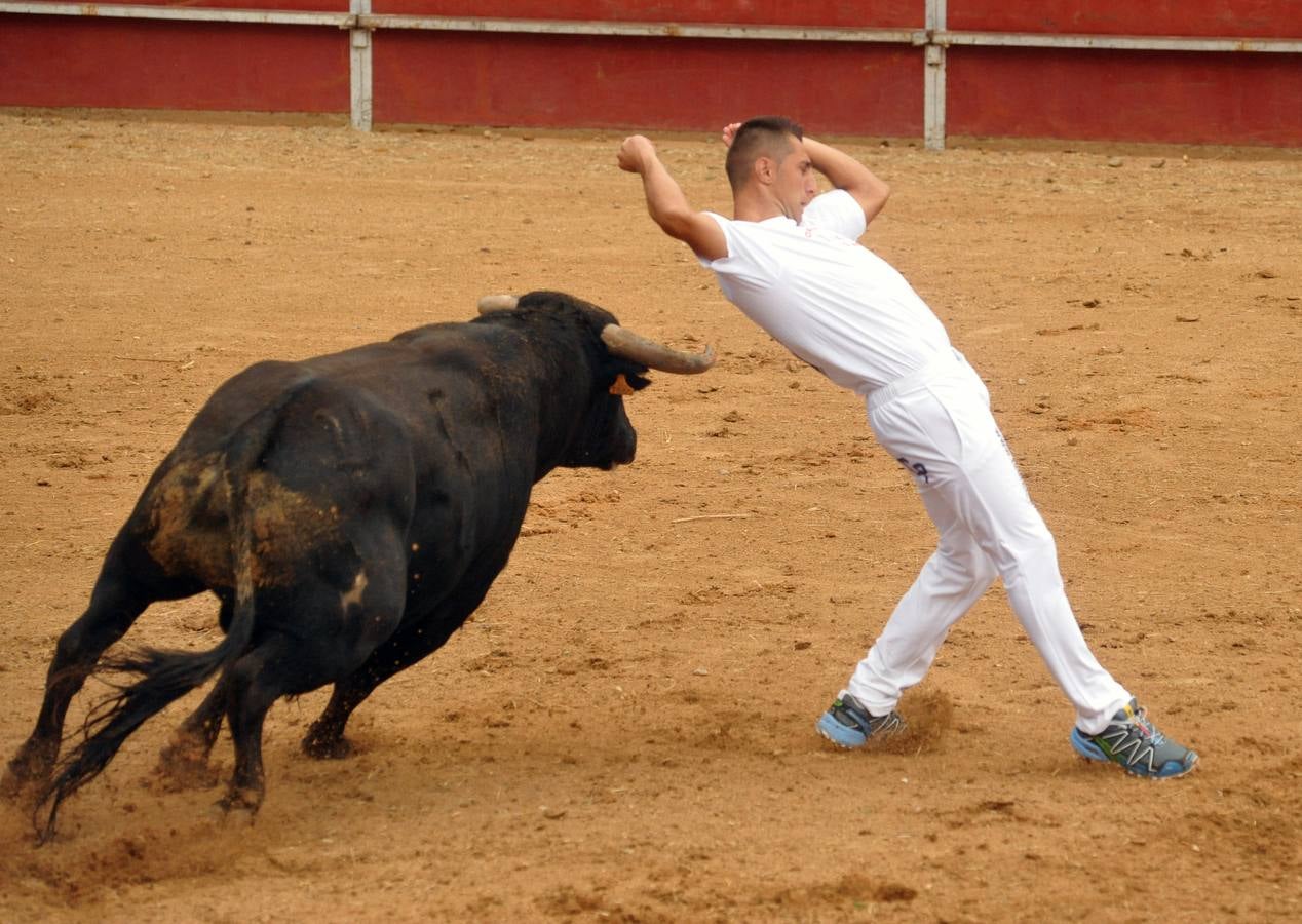 Concurso de cortes de Matapozuelos