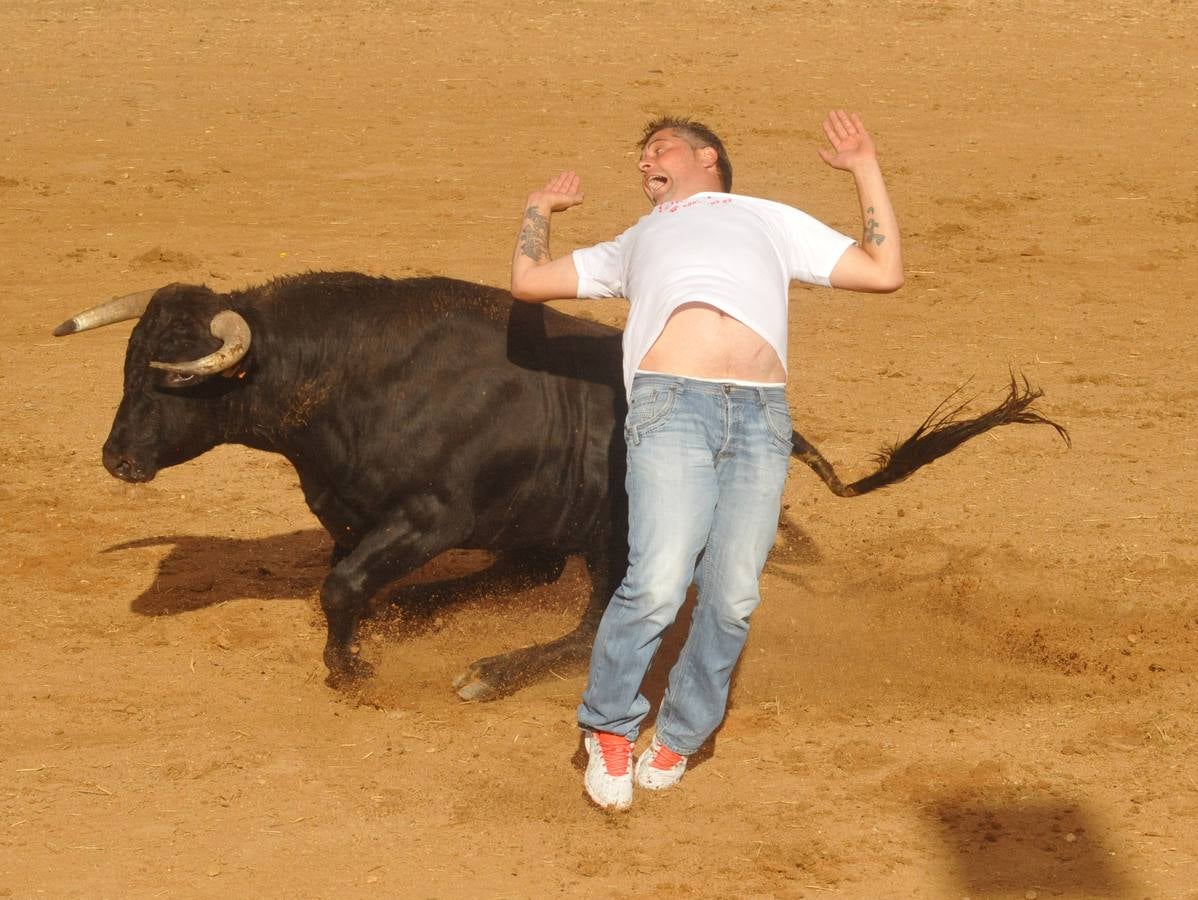 Concurso de cortes de Matapozuelos