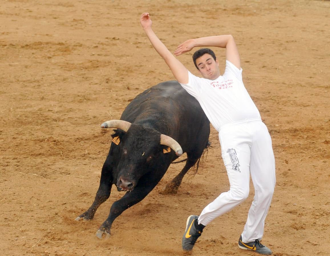 Concurso de cortes de Matapozuelos