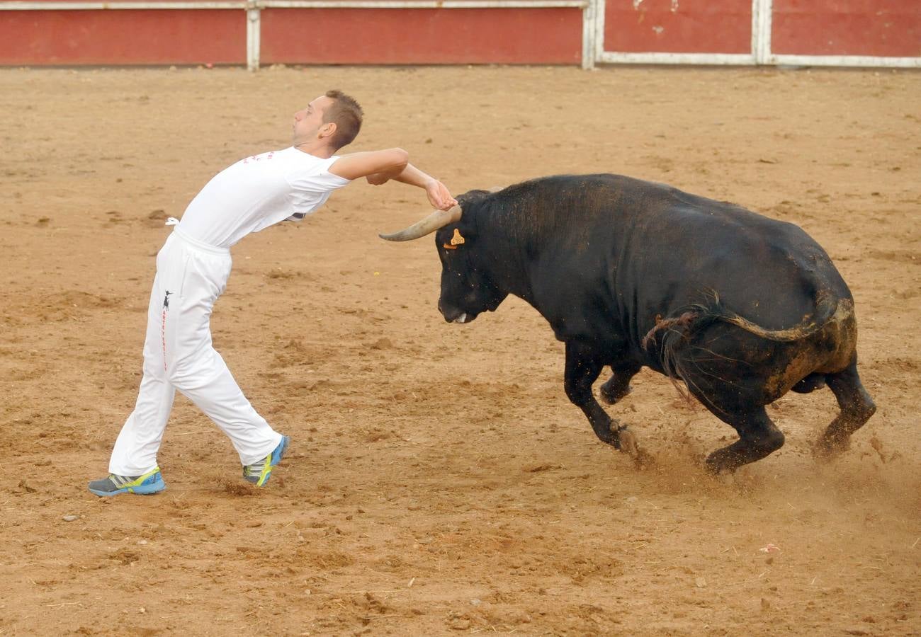 Concurso de cortes de Matapozuelos