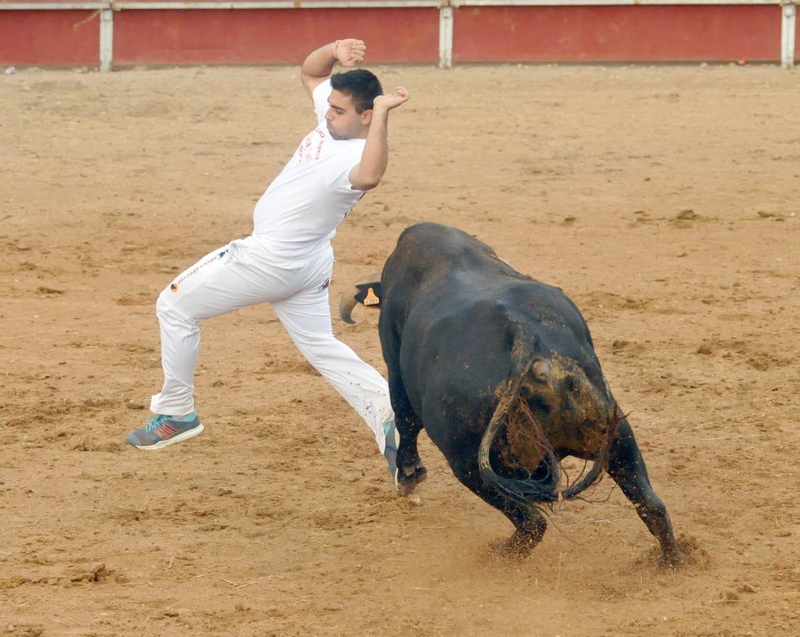 Concurso de cortes de Matapozuelos