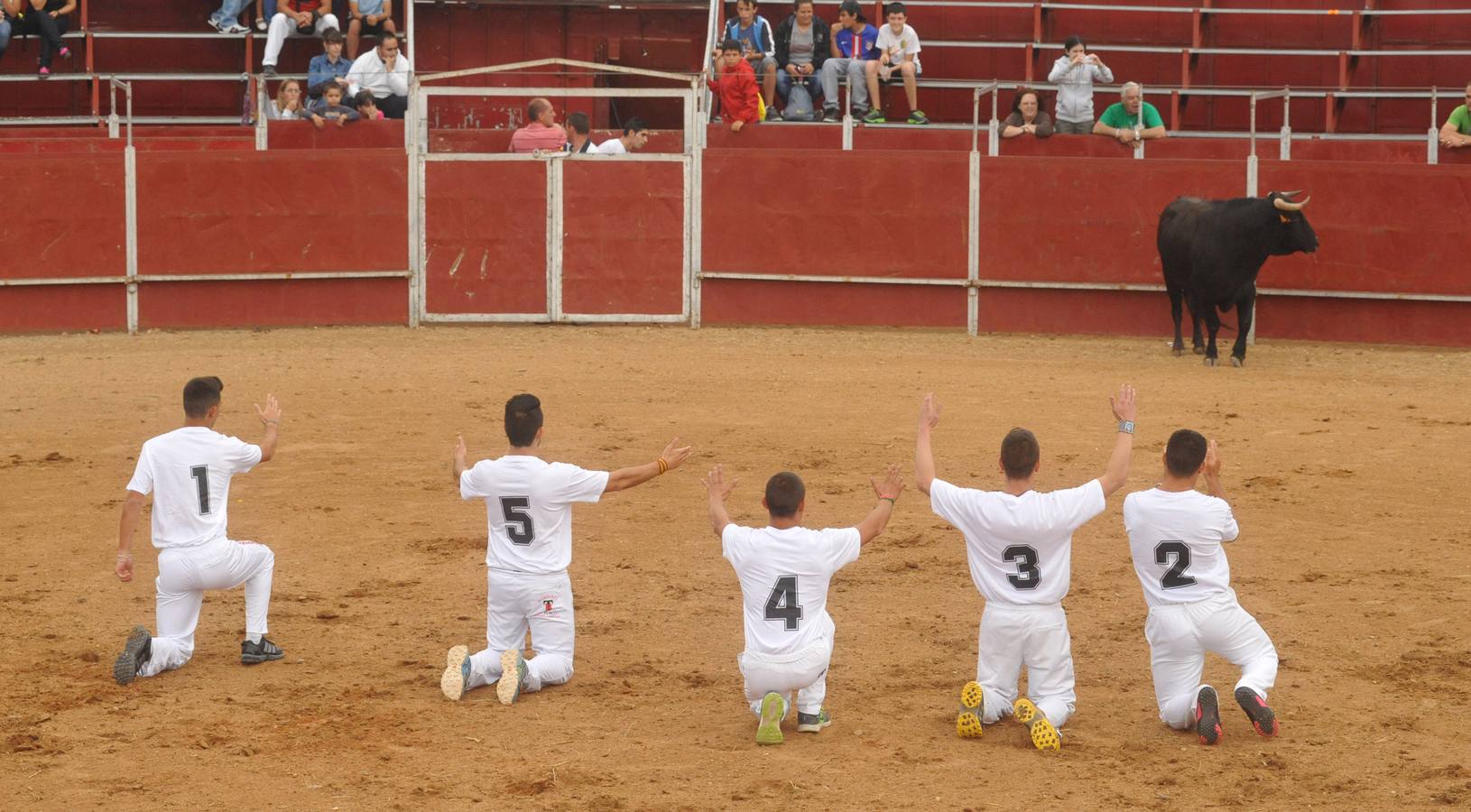 Concurso de cortes de Matapozuelos