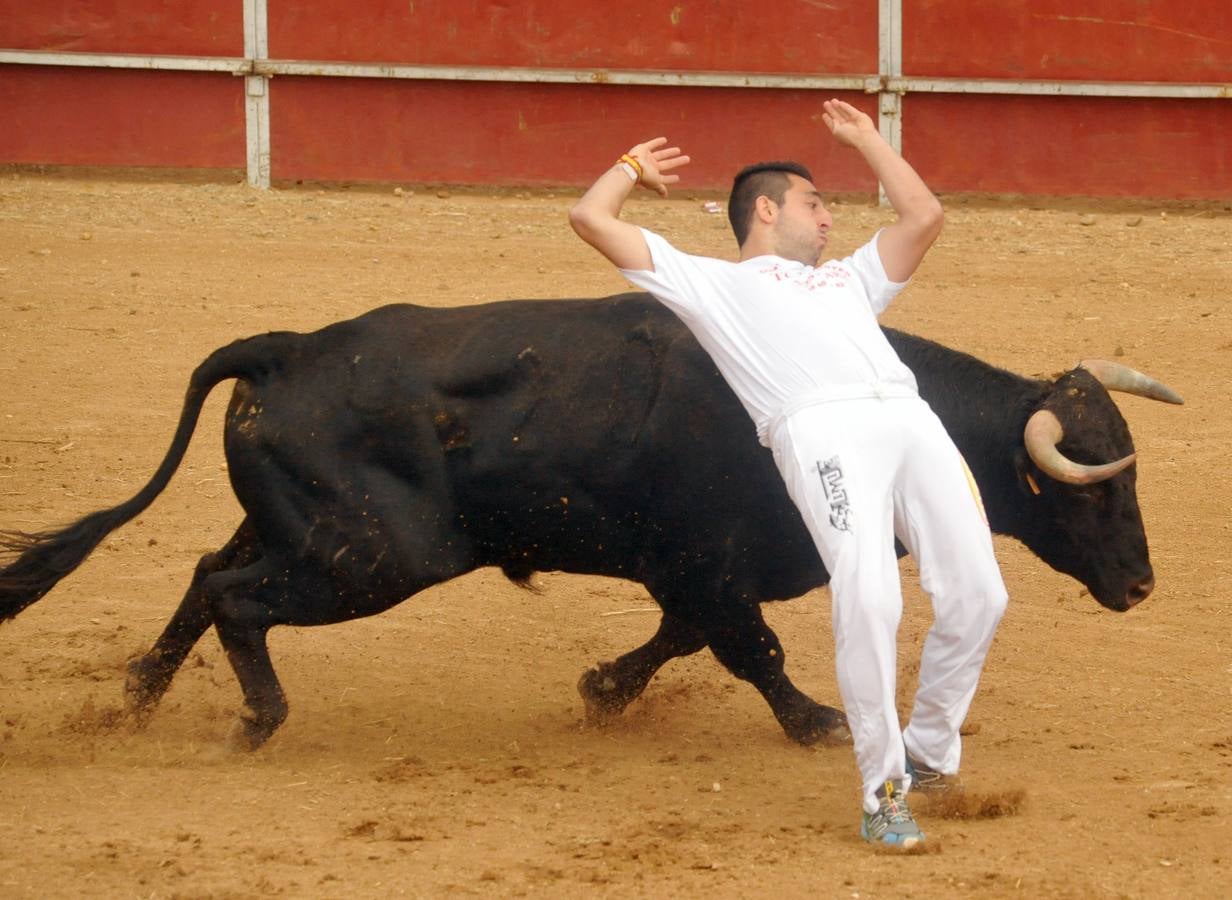 Concurso de cortes de Matapozuelos