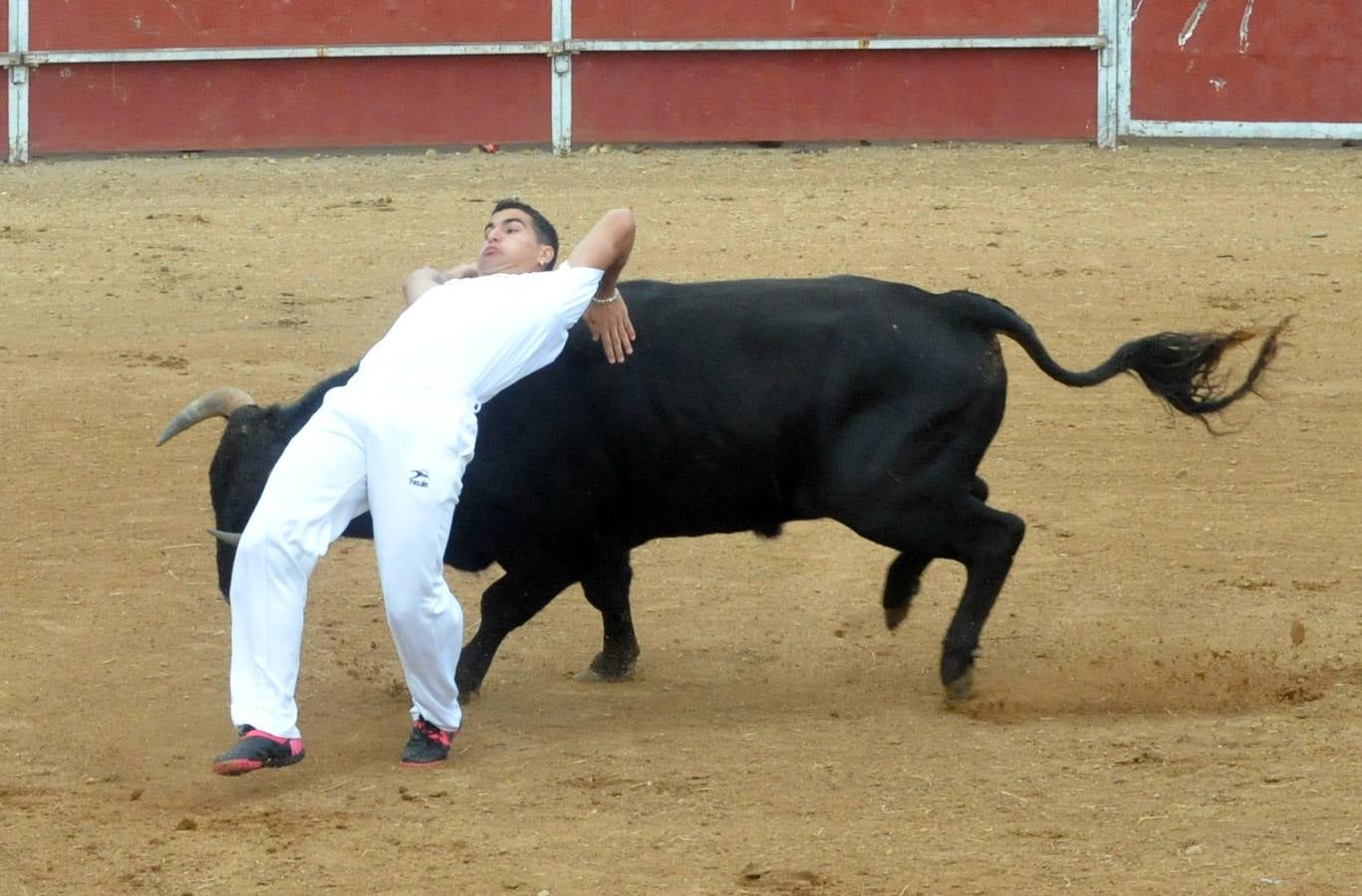 Concurso de cortes de Matapozuelos