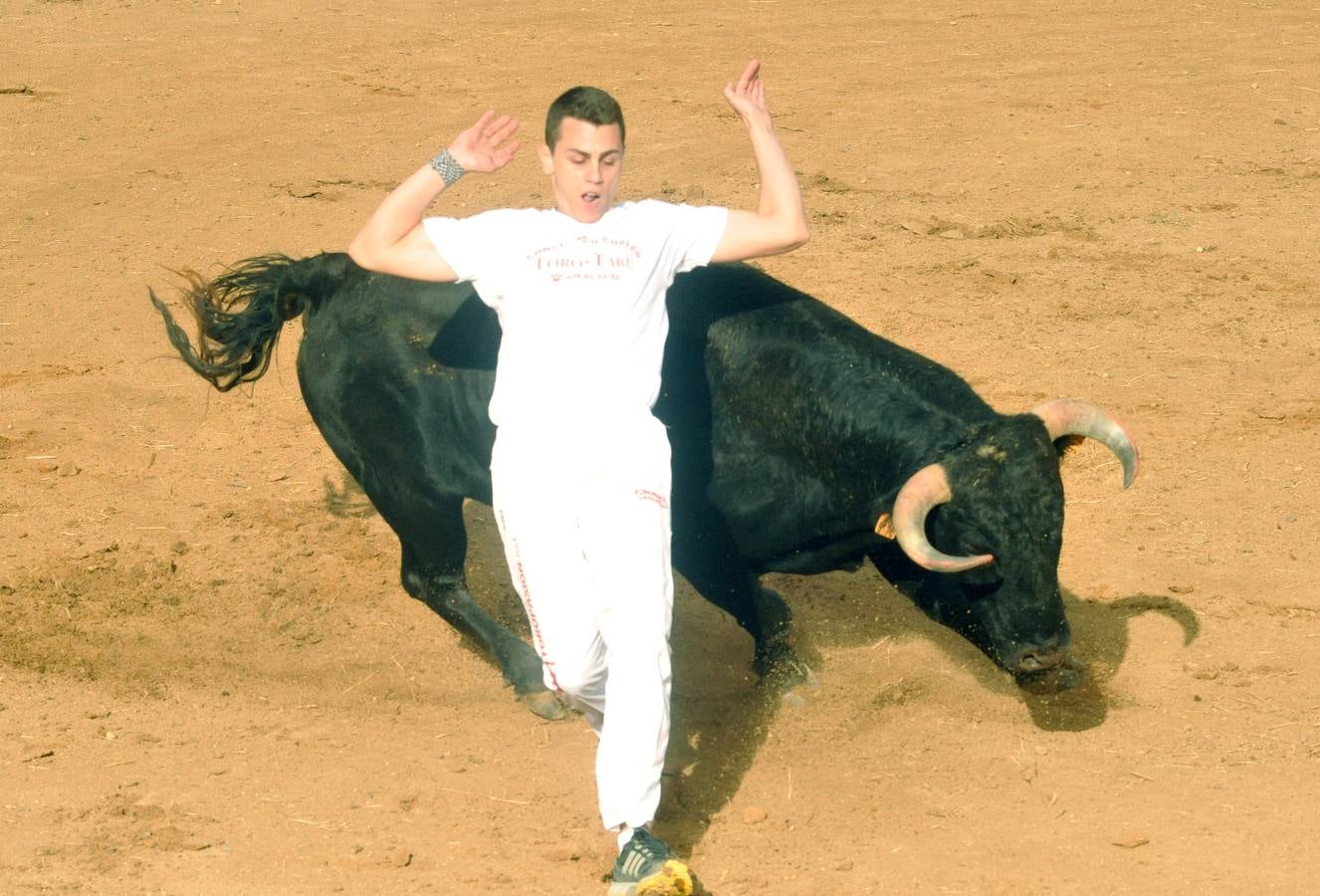 Concurso de cortes de Matapozuelos