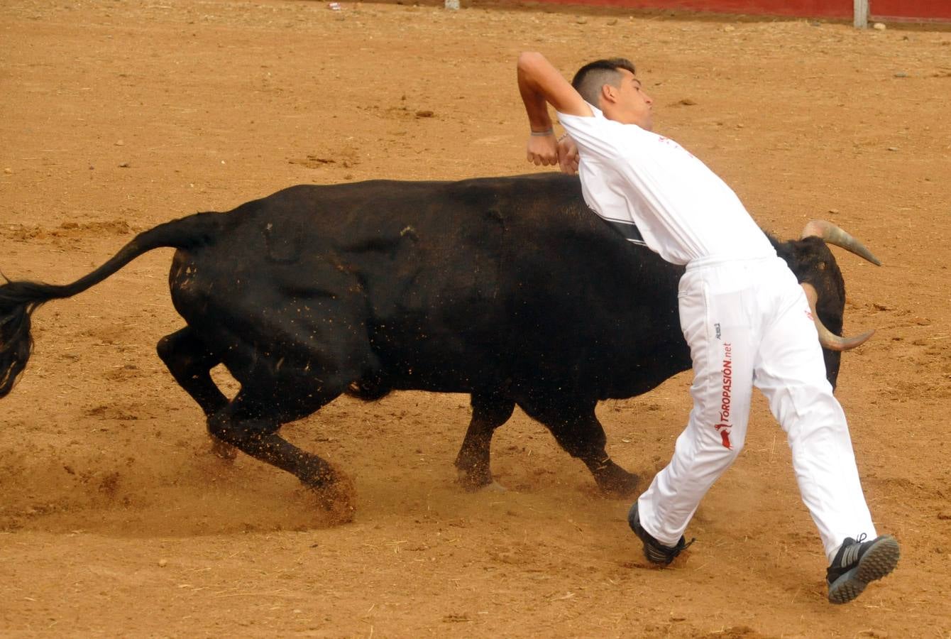 Concurso de cortes de Matapozuelos