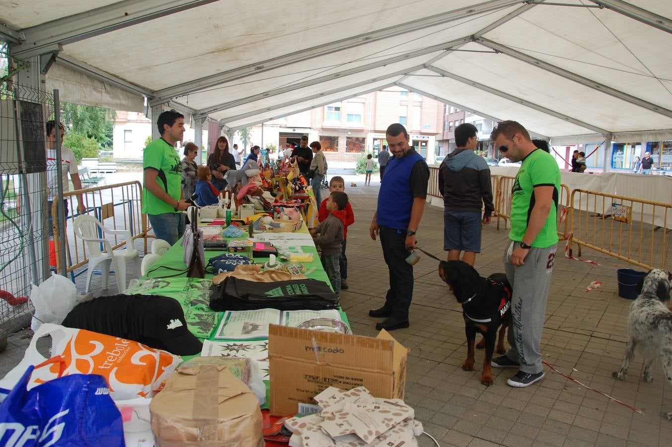 Jornada de convivencia organizada por la Asociación Protectora Amigos de los Animales de Guardo (Palencia)