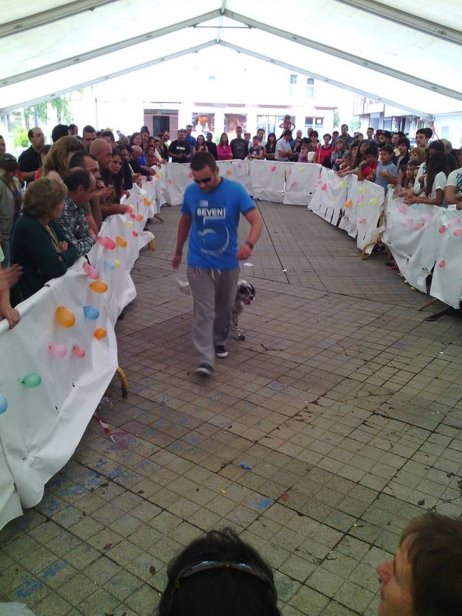 Jornada de convivencia organizada por la Asociación Protectora Amigos de los Animales de Guardo (Palencia)