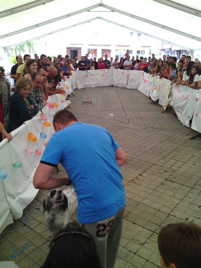 Jornada de convivencia organizada por la Asociación Protectora Amigos de los Animales de Guardo (Palencia)