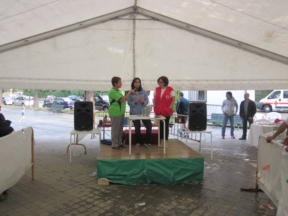 Jornada de convivencia organizada por la Asociación Protectora Amigos de los Animales de Guardo (Palencia)