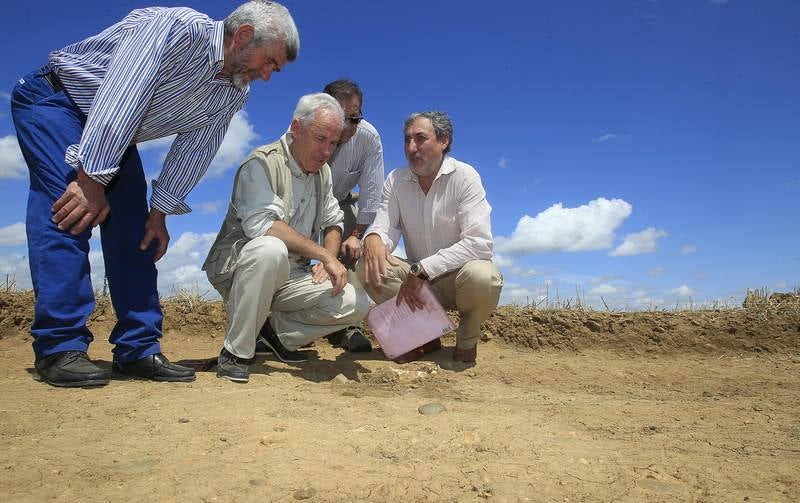 Visita al yacimiento arqueológico de Dessobriga en Osorno (Palencia)