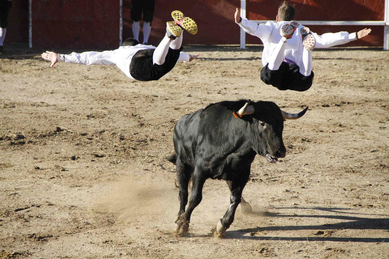 Exhibición de cortes, quiebros y saltos en Campaspero
