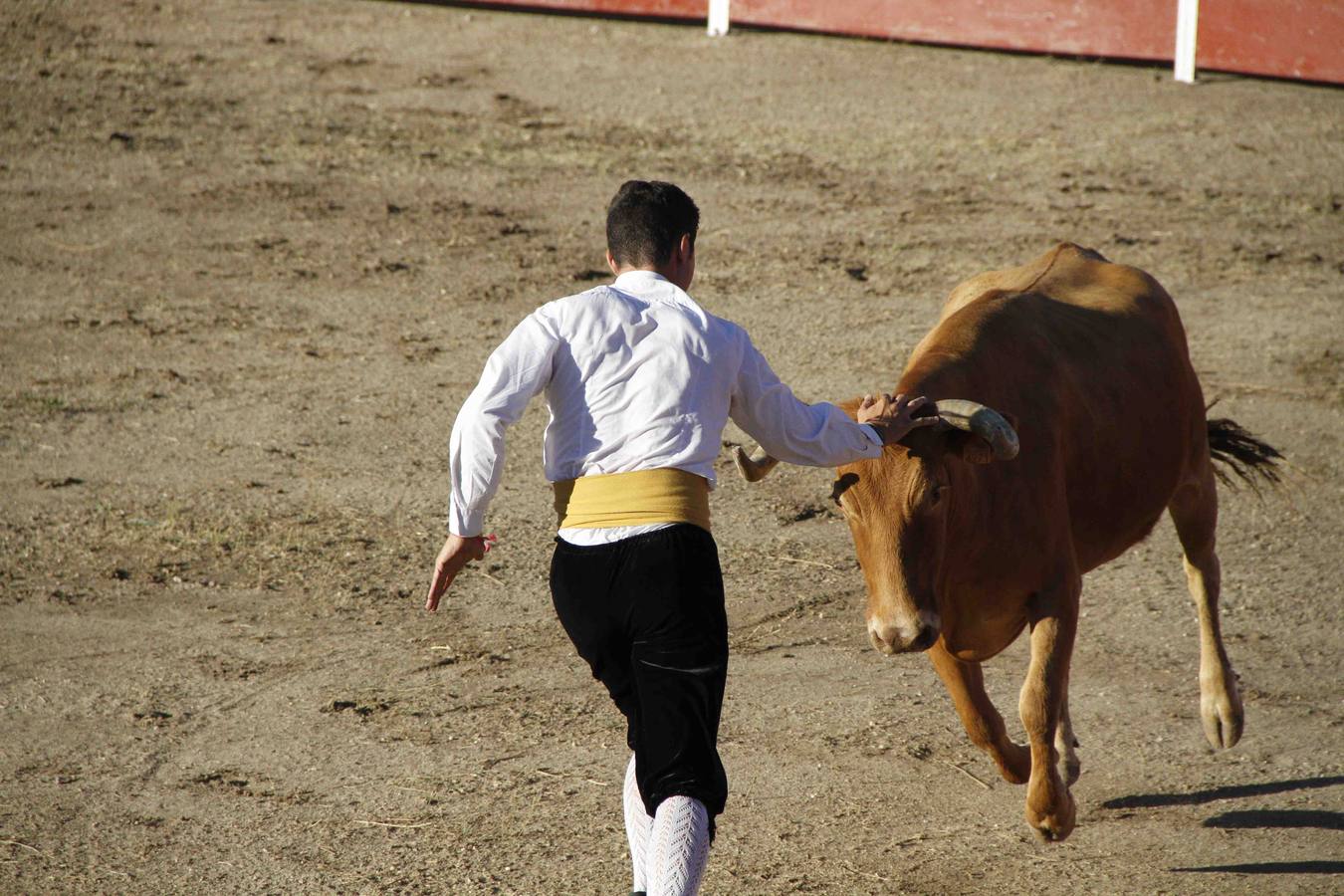 Exhibición de cortes, quiebros y saltos en Campaspero