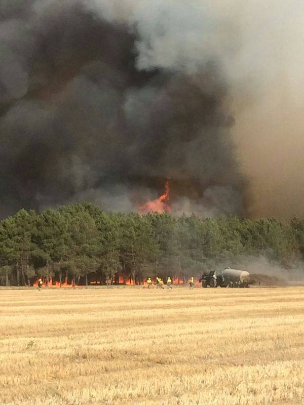 Incendio de Pinarejos