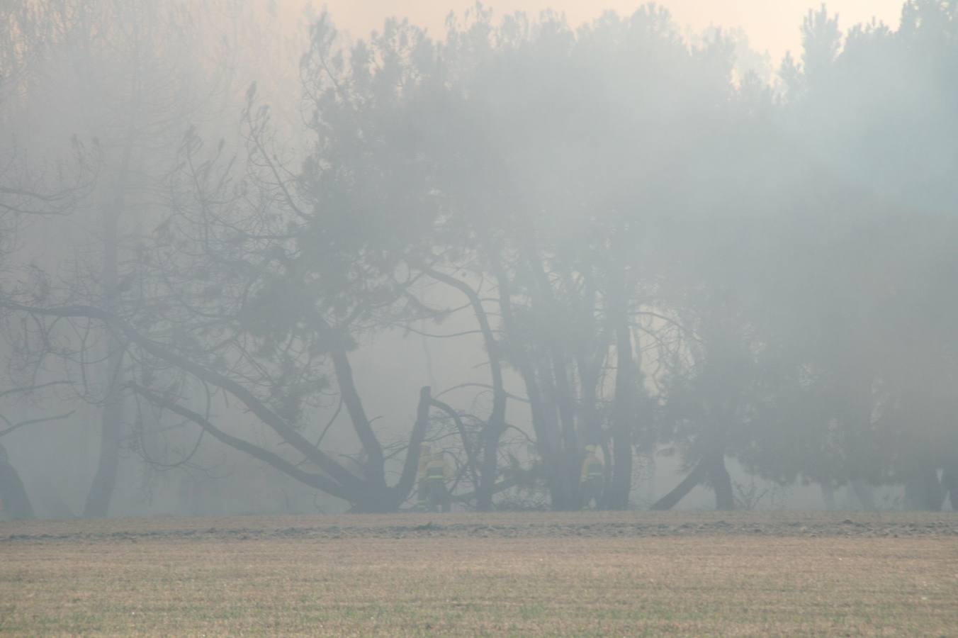 Incendio de Pinarejos