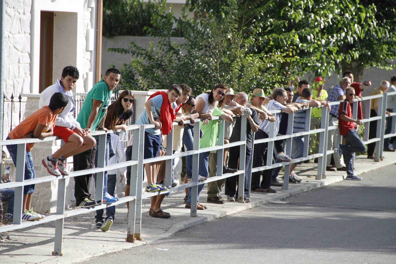 Novillo del Alba y capea en Campaspero