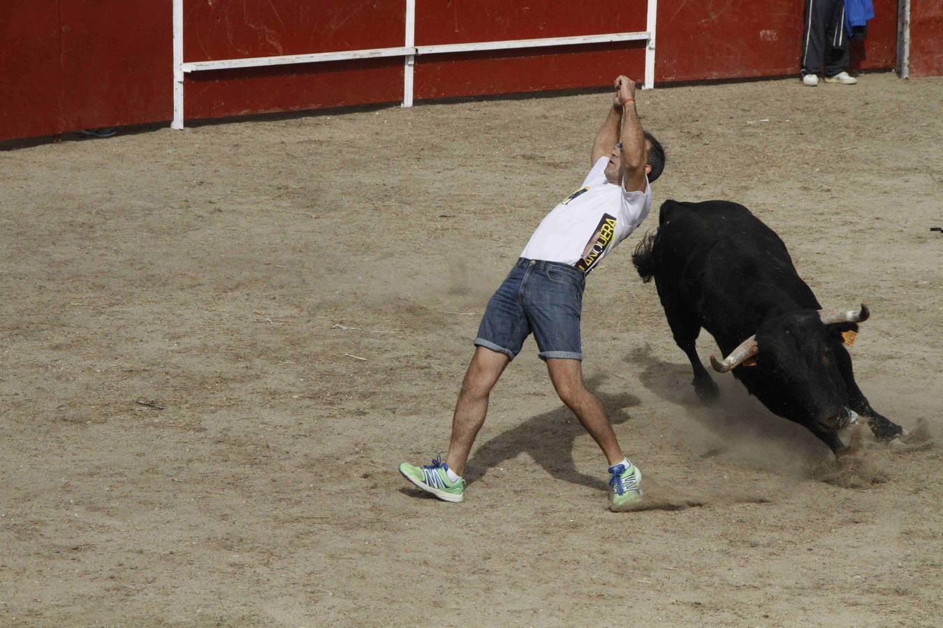 Novillo del Alba y capea en Campaspero