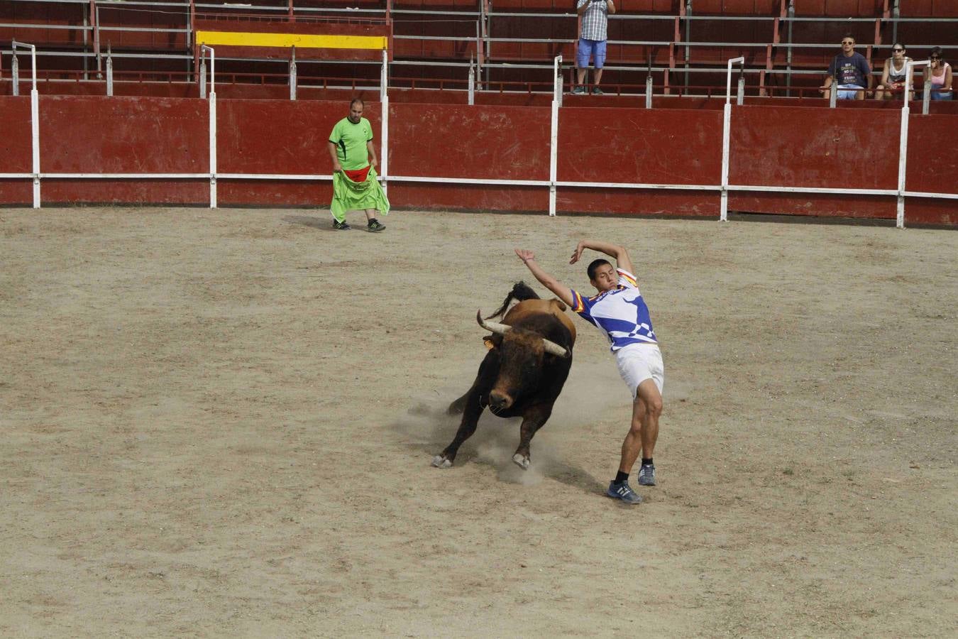 Novillo del Alba y capea en Campaspero
