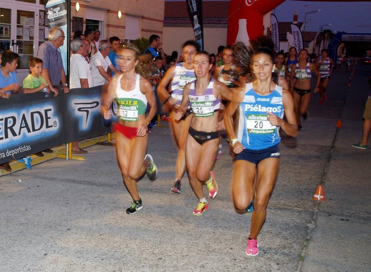 Milla Urbana de Pedrajas (1/2)