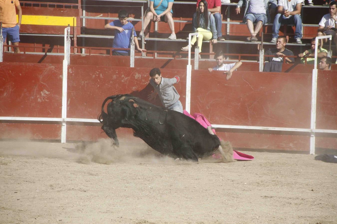 Encierro de la Vaca de la Afición y el Toro del Páramo en Campaspero. Valladolid