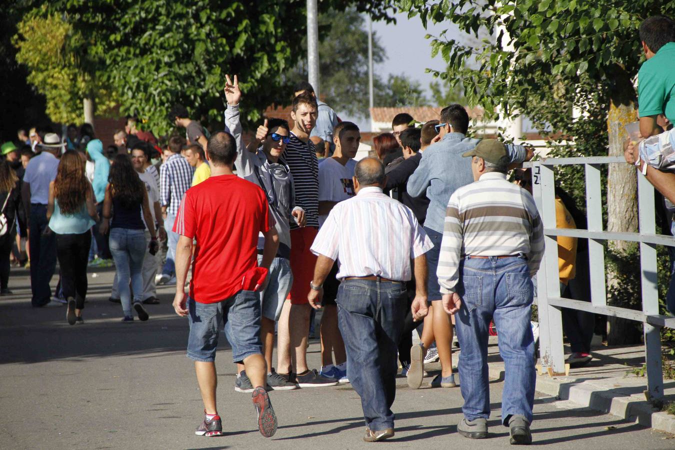 Encierro de la Vaca de la Afición y el Toro del Páramo en Campaspero. Valladolid